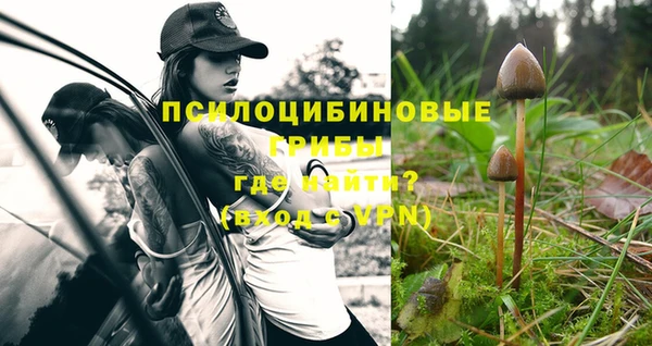 мяу мяу мука Белокуриха