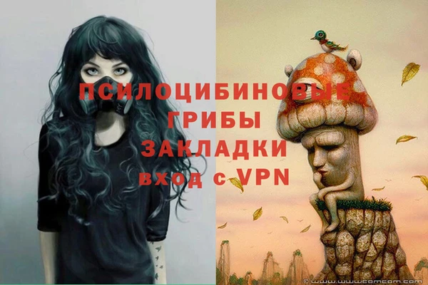 крисы Беломорск