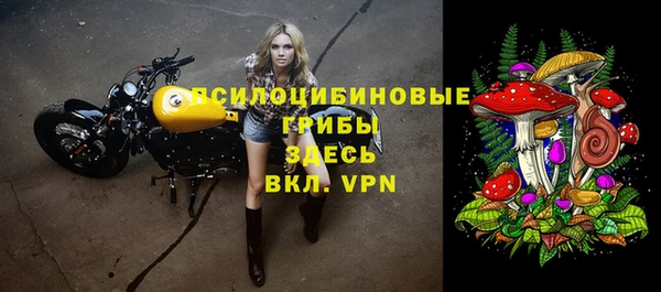 мяу мяу мука Белокуриха