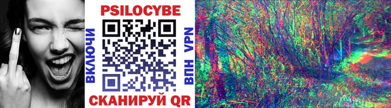 мориарти какой сайт Волчанск Псилоцибиновые грибы Cubensis